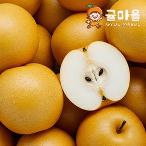 나주 신고배 정품 10개 (개당 420-600g 대특과)