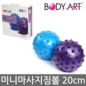 미니마사지짐볼 20cm KY-14MT 대만산