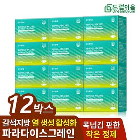 드림이음 파라다이스 그레인 에버 데일리 루틴 그래인 60정 12개월분