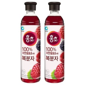 대상 청정원 홍초 복분자 900ml x 2개