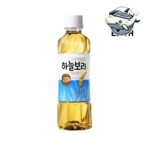 하늘보리 음료수 325ml 24개 박스