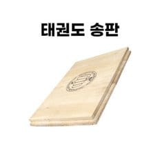 태권도 송판 격파판 시범단 행사