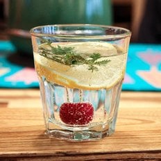  리비 지브랄타 듀라터프 266ml