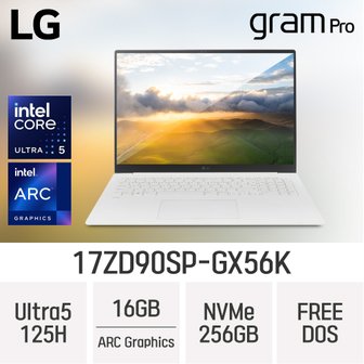 LG 전자 그램 프로17 17ZD90SP-GX56K