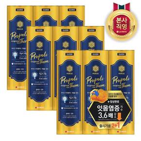 프로폴리테라 치약 클래식 100g 3입 x 3개