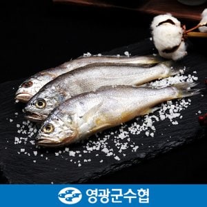 영광군수협 [명절 후 배송] [냉동][영광군 수협]법성포 영광 굴비 세트 1.4kg(역걸이/20미)