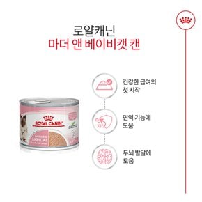 고양이사료 마더앤베이비캣 캔 195g / 아기고양이 주식캔