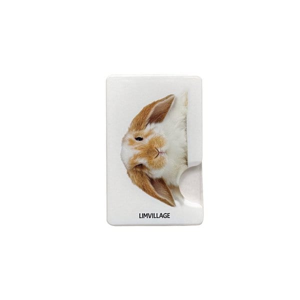 Rabbit magsafe wallet