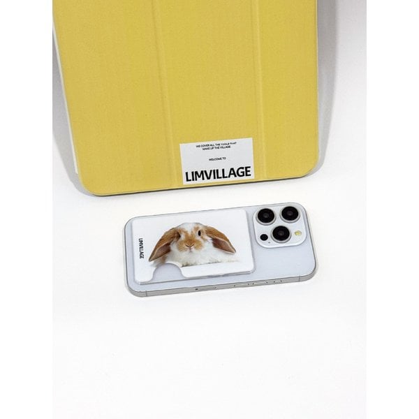 Rabbit magsafe wallet
