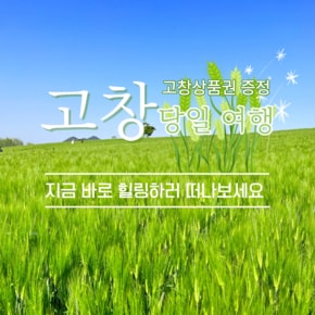 고창 당일 청보리밭 동백 벚꽃 황금나무와 여행친구들