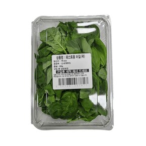 페스토용 바질(60g/팩)