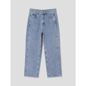 [정상가139,000원] Cotton100 straight  Denim  sky blue (WE3121C27Q)