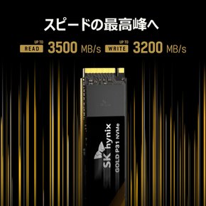 SK hynix Gold P31 2TB SSD PCIe NVMe Gen3 M.2 2280 3X500MB TBW:1200TB SHGP31-2000GM-2 내장