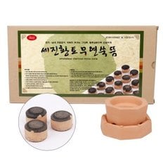 세진황토무연쑥뜸(50pcs)+기황온구기(점화식온구기)