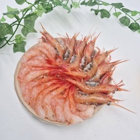 가락시장 단새우 500g