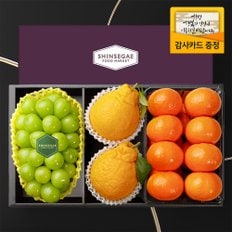 [1/13일 순차출고][산지직송] 씨에스타5호 샤인머스캣(650g) 1입 + 한라봉 2입 + 감귤 1kg 과일선물세트