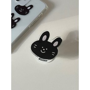 Black bunny  Acrylic tok