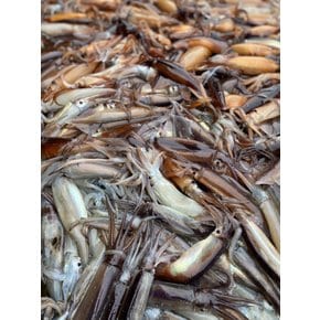가락시장 국내산 미니미 통찜 오징어 1kg