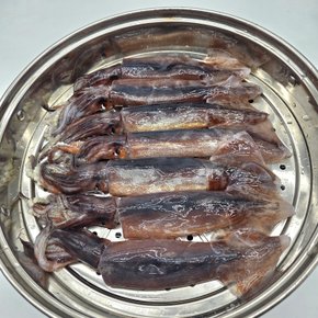 가락시장 국내산 미니미 통찜 오징어 1kg