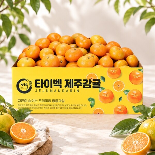 확대된 대표 이미지 G