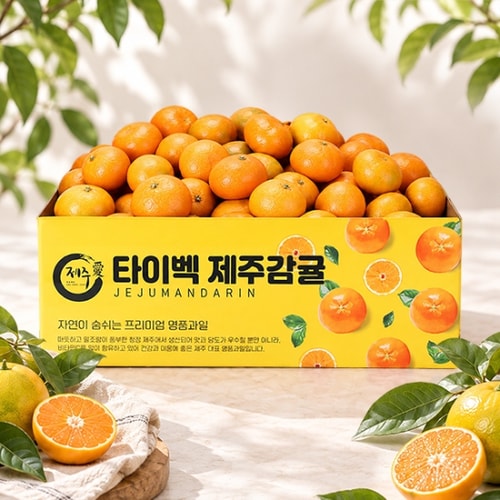 이미지 G