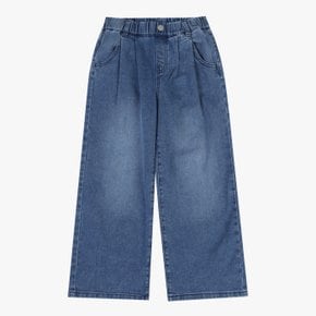 [20%+추가8%] 모던 투턱 와이드 데님팬츠 IDTJ25150