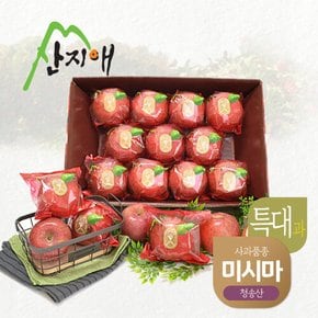씻어나온 꿀사과 4kg 1box (특대과) / 청송산 미시마 , 당도선별