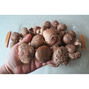 GAP인증 무농약 생표고버섯1kg/상품[29606189]