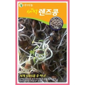 새싹렌즈콩렌틸콩씨앗 12g YY