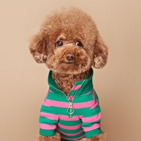 칵테일 아노락 강아지 티셔츠 S~2XL (Green,Pink Color)