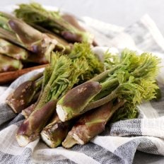 다농이네 산지직송 일월산 유기농 참두릅 500g
