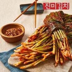 [진미김치] 전라도 파김치 4kg[29927046]