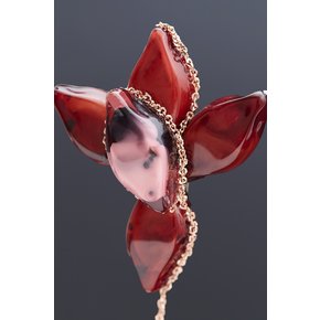 Cinnamon Rhizome Brooch