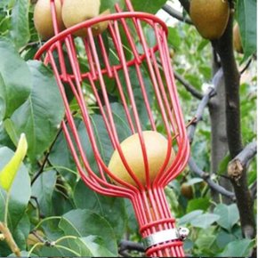 과일피커 정원 바구니 캐처 사과 복숭아 따기 농장 (WCDA3FD)