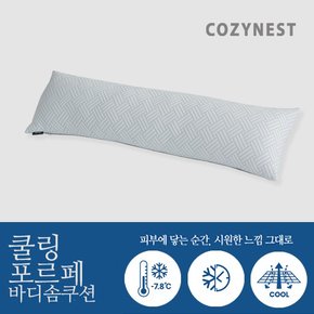 쿨링 포르페 냉감 시원한 바디솜쿠션 30X100