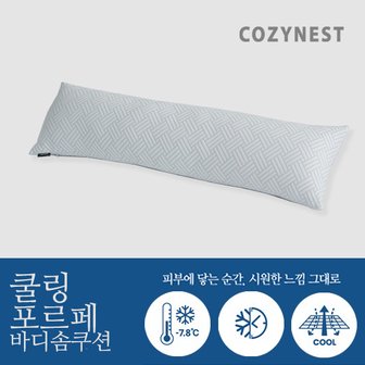 레노마홈 쿨링 포르페 냉감 시원한 바디솜쿠션 30X100