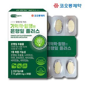 기억력 혈행엔 은행잎 징코 플러스 x 30정 1개월분 은행잎추출물 징코빌로바 뇌 혈행개선 두뇌