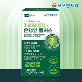 기억력 혈행엔 은행잎 징코 플러스 x 30정 1개월분 은행잎추출물 징코빌로바 뇌 혈행개선 두뇌