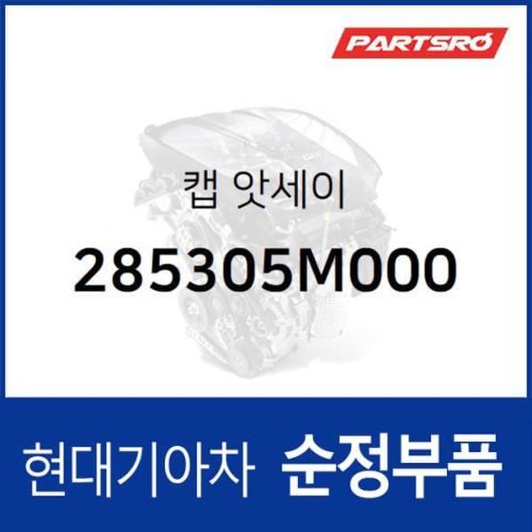 순정 요소수 캡(뚜껑 마개) 열쇠 키타입 (285305M000) 글로벌900/그린시티,메가트럭,트라고,뉴 슈퍼 에어로 시티,유니버스,트라고 엑시언트,뉴 파워트럭,E에어로타운,E카운티,마이티