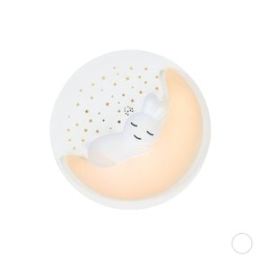 레빗 아이방등 B타입 디밍  리모컨 색변환 LED 75W 키즈방등  리모컨