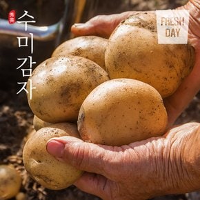 [산지직송] 포슬포슬 쫀득한 햇 수미감자 왕특품 3kg (160g이상)