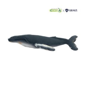 [컬렉타, COLLECTA] 컬렉타 플러시 혹등고래 해양 동물 모형 봉제 애착 인형