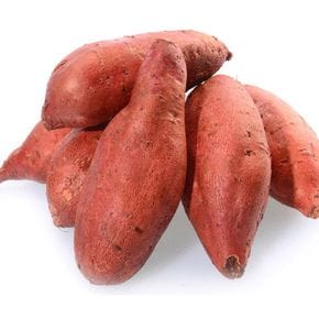 프레쉬푸드 국내산 해남 꿀고구마 대 세척 5kg (300g 이상)[36192198]