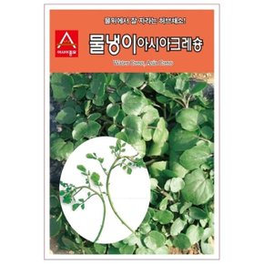 물냉이씨앗 아시아크레숑 1g 허브씨앗 종자 (WBD2F60)