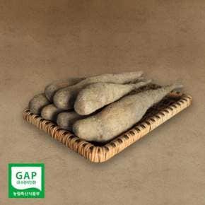 GAP인증 마 산마 참마 생마 햇마 하품 5kg