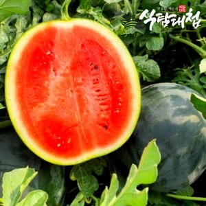 식탐대첩 달콤한 정품 흑 수박 8-9kg