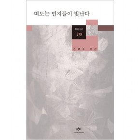 떠도는 먼지들이 빛난다 : 손택수 시집 (시선 379)