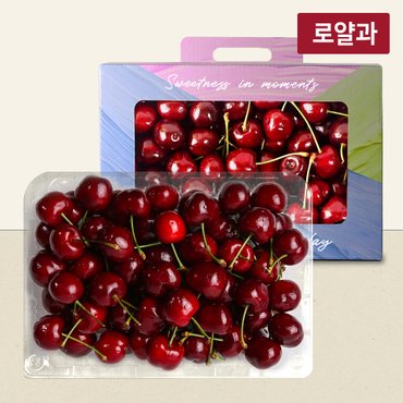 라라르떼 체리 400g 선물세트