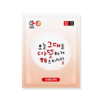 제이큐 주머니 포켓형 국산 핫팩 기본핫팩 일반형 100g 10개