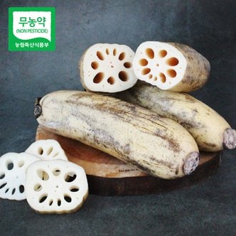 친환경팔도 [산지직송] 경산 세척 무농약 연근 3kg